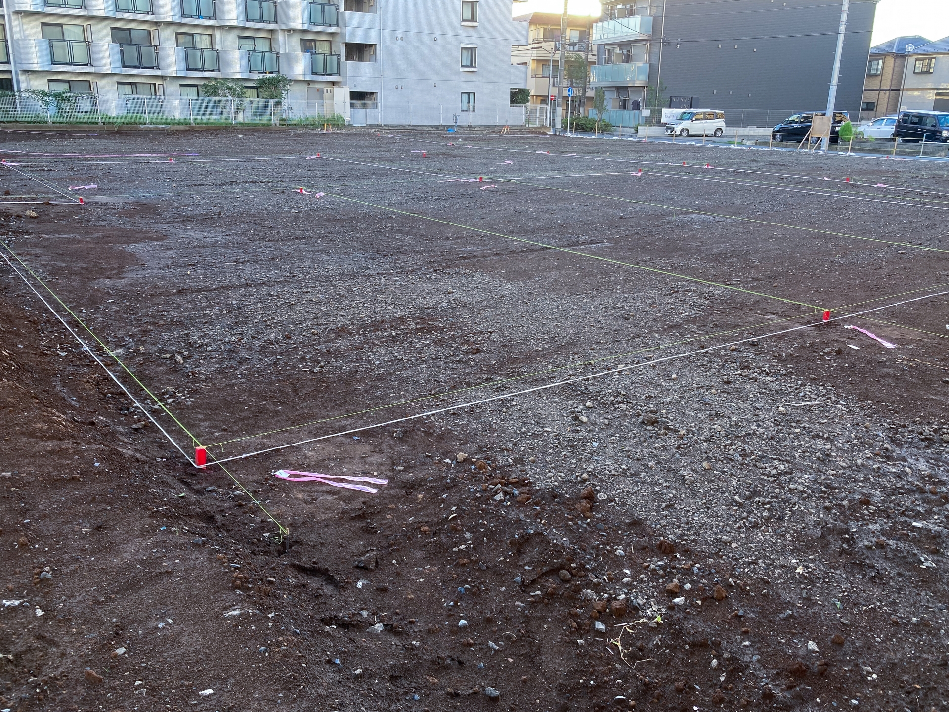 現場での縄張りの様子